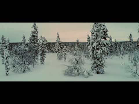 Frigg - Allikko (Official music video)