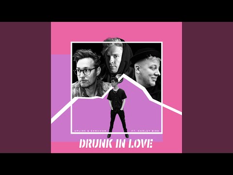 Drunk in Love (feat. Harley Bird)