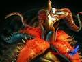Devil May Cry 4: The Viper (ECHIDNA combat) 