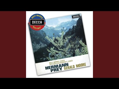 R. Strauss: 5 Lieder, Op. 48, TrV 202: 1. Freundliche Vision