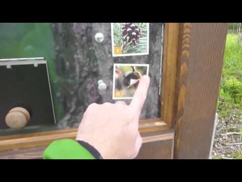 Der Moorerlebnispfad im Pöllwitzer Wald