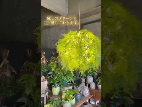 【人気商品】ラグジュアリーな輝きのシャンデリア｜特許出願中の回転オプションや癒しのグリーンタイプも♪