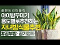 sub 자녀방에 놓기 좋은 식물❗ 용도별 식물 추천💐｜플랜테리어식물｜식물추천｜공기정화식물｜자녀방꾸미기