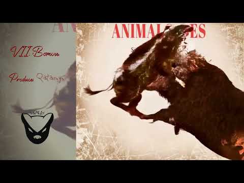 Animaloides - Bombvs (prod. Qatarsys)