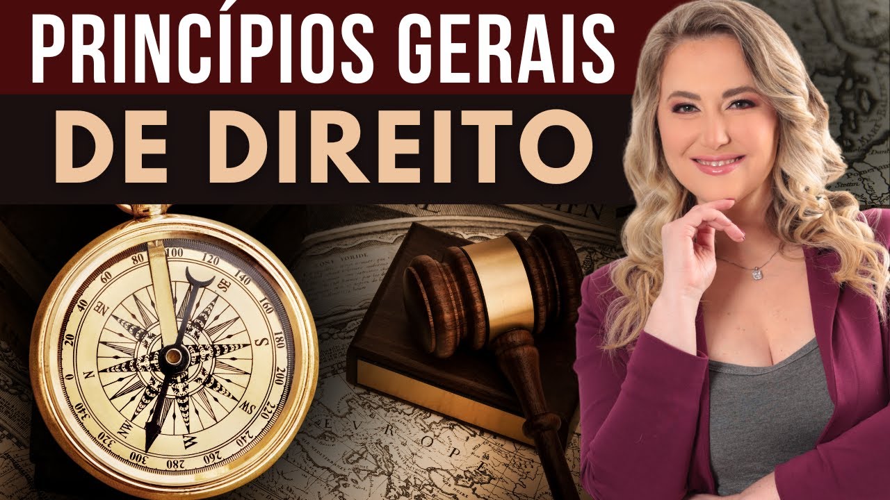PRINCÍPIOS GERAIS DE DIREITO (LINDB) | Introdução ao Direito