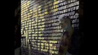 Jim Capaldi   Standing In My Light