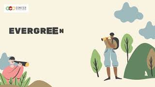 Are the best evergreen hedges what you're looking for?