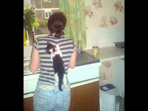 Krissu - Kass On Kadund (Radio)