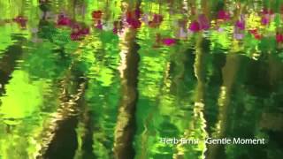 Herb Ernst - Gentle Moment