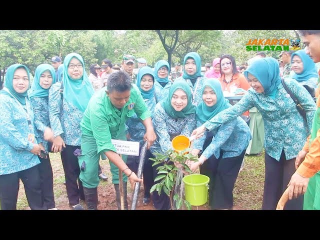 Penanaman Pohon Serentak, Di Jakarta Selatan Perlu Jutaan Pohon