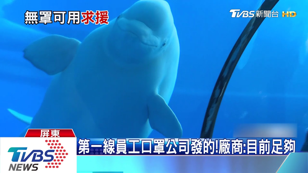 主管領走口罩度假去? 海生館:緊急戰備口罩