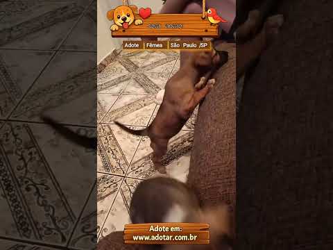 Vídeo de sem nome 
