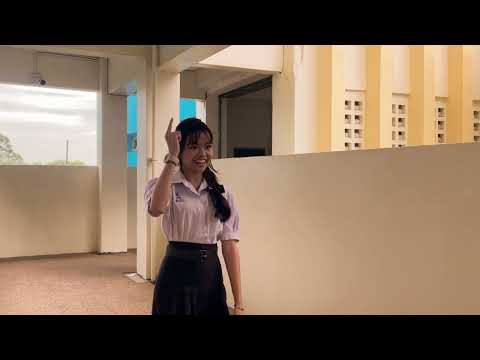 Dream Curator _ by SoulSync