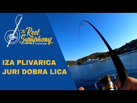 LICA UBICA - Vela Luka, Korčula