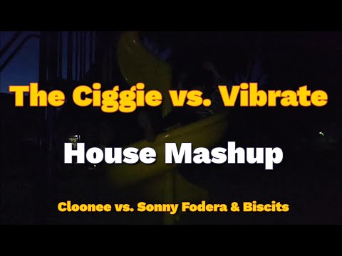2021 The Ciggie vs. Vibrate , Cloonee vs. Sonny Fodera & Biscits House Mashup (by Froggy Dance)