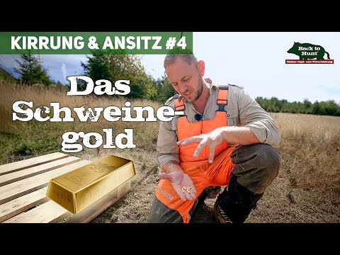 Which bait? | Baiting and hunting from a hide #4