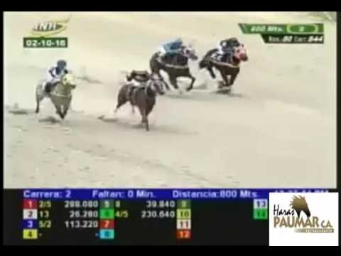 LA RINCONADA 2 CARRERA, DOMINGO 02 DE OCTUBRE DEL 2016