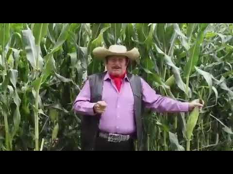 ENTREVISTA... CONOCIENDO UN POCO A  FEDERICO VILLA