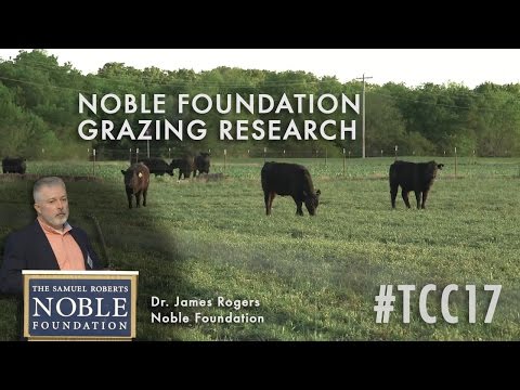 Grazing Research Projects at the Noble Foundation
