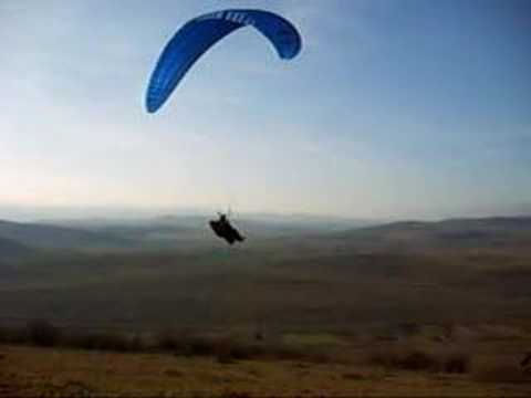 petrestii beheheheton.!!!!