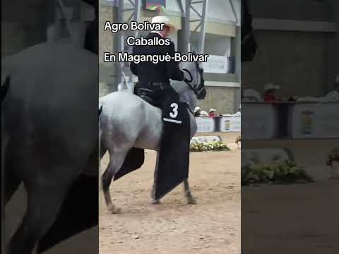 Agro Bolívar en Magangué Bolívar #magangué #bolivar #agropecuaria