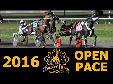 2016 Breeders Crown - Always B Miki - Open Pace