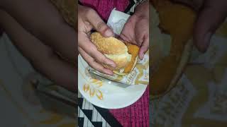 Cheese Melt down Burger | Burger King | Short Video || Foodies Experience