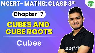 Class 8th Maths NCERT | Chapter 7 | Some Interesting Patterns in Cubes - Cubes and Cube Roots
