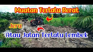 Download lagu Revo Absolute Memang Beda Di Jalan Berlumpur - Ojek Sawit #pejuangreceh mp3