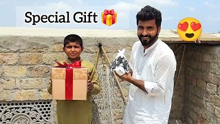 Mujhe Kabootar Gift Mila 😍🕊️ | Beautiful Fancy Pigeons Video |