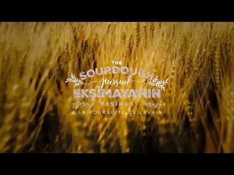 download lagu mp3 mp4 Sourdough Turkish Bread, download lagu Sourdough Turkish Bread gratis, unduh video klip Sourdough Turkish Bread