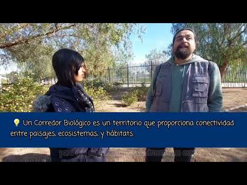 El impacto del Parque La Hondonada en nuestro ecosistema local