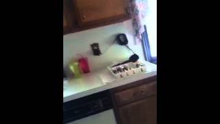 Demented Sweeney Song