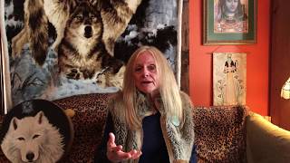 Shamanic Conversations with Star Wolf: What is SHIP?
