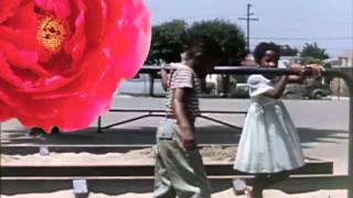 RRing - Loud Underneath