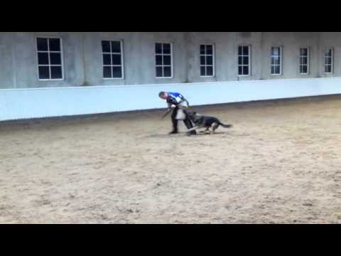 Hero Av Oddvarg vs Vit Glisnik