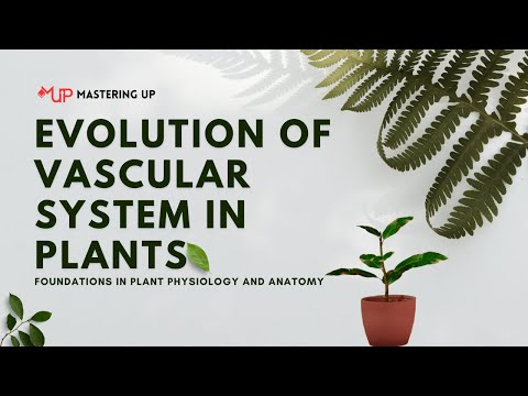 Evolution of Vascular Plants | #15
