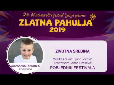 ŽIVOTNA SREDINA-Aleksandar Knezović-Zlatna Pahulja 2019.