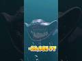 Deep Sea Creatures Are Found Great White Shark Vs El Gran Maja