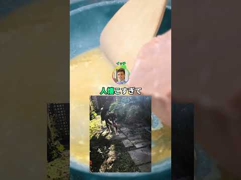 半年売れ残った柴犬を引き取った#2ch #shorts