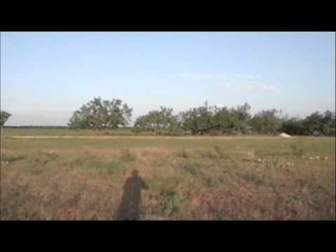 John Ferguson's Death