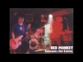 Red Monkey: Teenagers Are Boring