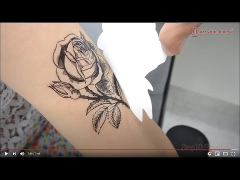Video 1