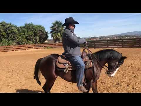 Caballo Charro (inicios)