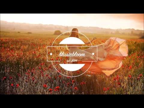 Robin Schulz Feat Akon - Heatwave (HUGEL Remix)