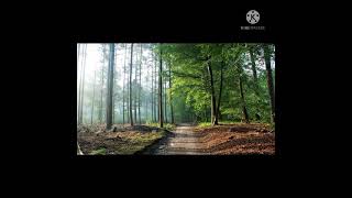 Download lagu TOO MUCH LOVE WILL KILL YOU - cover mp3