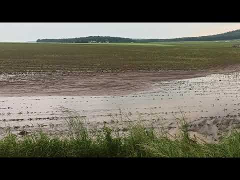 2021 06 08 maisacker starke erosion