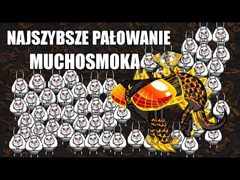 DST; Najszybsza taktyka na Muchosmoka!
