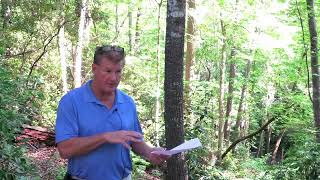 Lake Keowee Real Estate Video Update May 2026 Mike Matt Roach Top Guns Realty