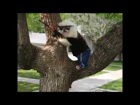 When the Zombies Come #zombies #Dinky